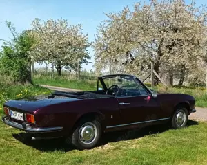 Oldtimer Peugeot Rarität Peugeot 504 Cabrio Baujahr 74 Bild 2