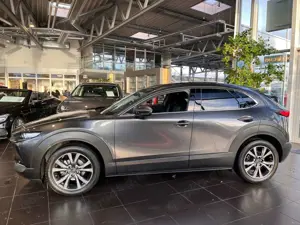 Mazda CX-30 Selection AWD AHK 360° MATRIX LED NAV 18" Bild 4