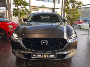 Mazda CX-30 Selection AWD AHK 360° MATRIX LED NAV 18" Bild 2