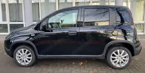 Fiat Panda TÜV AU NEU*CROSS*KLIMA*AUX Bild 4
