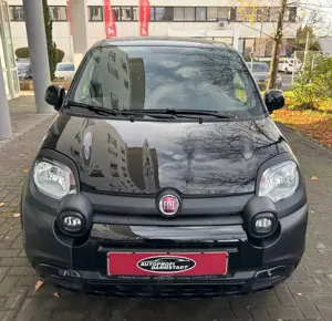 Fiat Panda TÜV AU NEU*CROSS*KLIMA*AUX Bild 2
