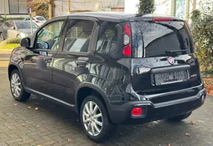 Fiat Panda TÜV AU NEU*CROSS*KLIMA*AUX Bild 5