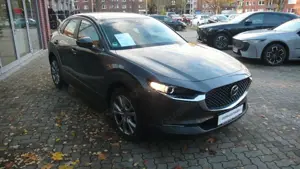 Mazda CX-30 Skyactive X LED HeadUp Navi 1.Hd Bild 3