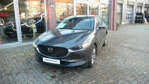 Mazda CX-30 Skyactive X LED HeadUp Navi 1.Hd Bild 2