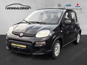 Fiat Panda Base 1.0 Mild Hybrid DAB Klima teilb.Rücksb eFH RD