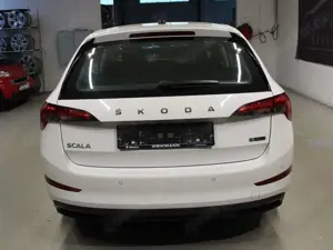 Skoda Scala Ambition *NAVI*ERDGAS*TEMPO*KLIMA*PDC* Bild 4