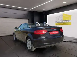 Audi A3 Cabriolet Ambition Leder Mehrzonenklima SHZ PDC Al Bild 3