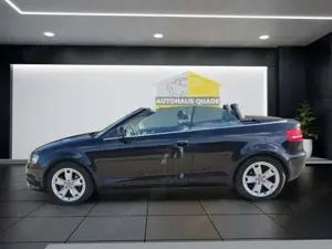 Audi A3 Cabriolet Ambition Leder Mehrzonenklima SHZ PDC Al Bild 2