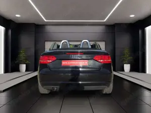 Audi A3 Cabriolet Ambition Leder Mehrzonenklima SHZ PDC Al Bild 4