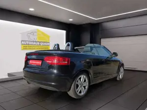 Audi A3 Cabriolet Ambition Leder Mehrzonenklima SHZ PDC Al Bild 5