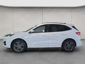 Ford Kuga 2.5 Duratec PHEV ST-LINE Bild 2