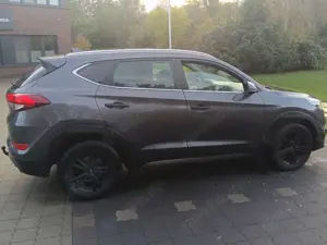Hyundai TUCSON Tucson 2.0 CRDi 4WD Automatik Intro Edition Bild 4