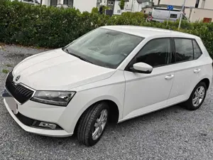 Skoda Fabia Fabia 1.0 TSI Ambition inkl. Winterreifen