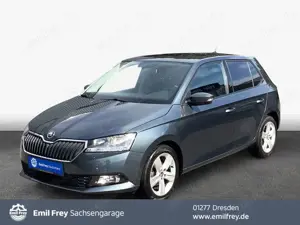 Skoda Fabia 1.0 TSI Ambition PDC v+ h + Rückfahrcam