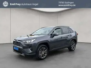 Toyota RAV 4 2.5 4x2 Hybrid Team Deutschland