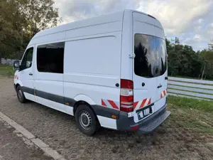 Mercedes-Benz Sprinter 311 CDI Kasten  | Standheizung | Regale/ Werkbank