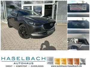 Mazda CX-30 AWD AHK 1. Hand 360° BOSE LogIn Matrix Klimaaut Si