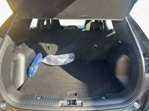 Ford Kuga 2.0 EcoBlue Aut. ST-LINE GJR WIN AHK Bild 5