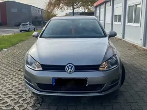 Volkswagen Golf Golf 1.6 TDI BlueMotion Technology Allstar Bild 2