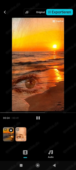  Suche WG oder Mitbewohner:in im Süden   60 plus, tierlieb & kreativ 