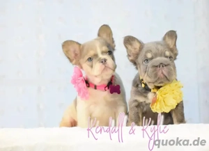    Kendall et Kyfie Premium   