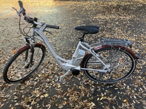  Flyer E Bike 26 Zoll, 8 Gang Nexus, RH 46 cm,