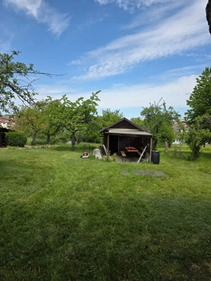 Baumgrundstück mit Gartenhütte zu verpachten Waiblingen-Beinstein
