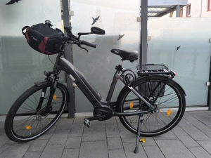 E-Bike von Carver Modell Cityzen E440 FL