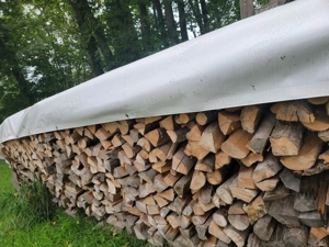 Brennholz Kaminholz
