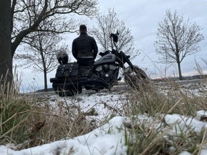 Junge Dame gesucht u20