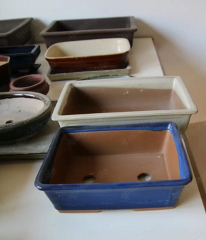 Bonsai-Schalen Bild 3