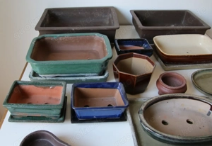 Bonsai-Schalen Bild 5