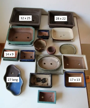 Bonsai-Schalen Bild 2