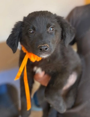 Couch gesucht für YIN