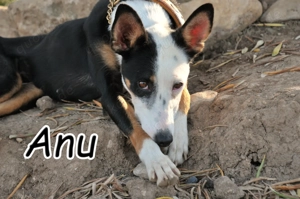 Möchtest du Anu die Welt zeigen und ihr Herz gewinnen?