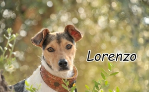 Kannst du dir vorstellen, Lorenzo an deiner Seite zu haben?