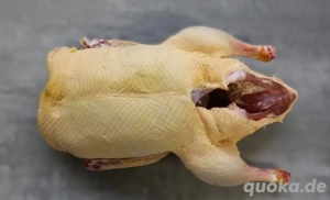 Weihnachtsbraten  Pekingenten(geschlachtet)