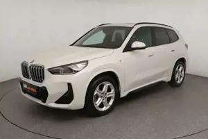 BMW X1 sDrive 20i M Sport|PANO|ACC|RFK|HeadUp|AHK Bild 3