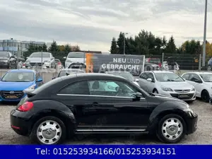 Volkswagen Beetle 1,2 TSI Cup,KLIMAAUTOM.,SHZ,PDC,TEMPOMAT Bild 5