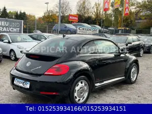 Volkswagen Beetle 1,2 TSI Cup,KLIMAAUTOM.,SHZ,PDC,TEMPOMAT Bild 4