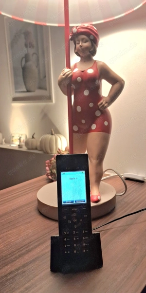 Fritz!Fon C5, incl. versichertem Versand.