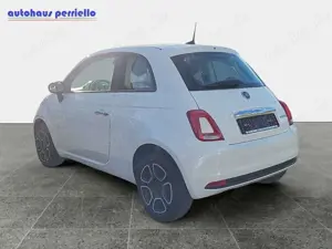 Fiat 500 Club Hybrid 1.0 GSE Bild 2