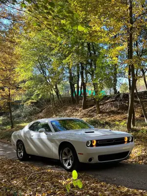 Dodge Challenger Automatik SXT Plus