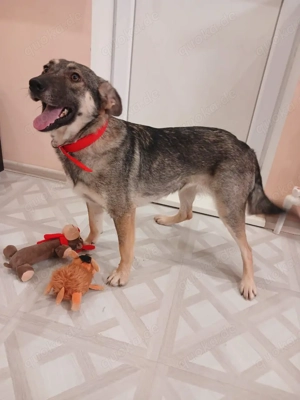 Verzaubert Lori dich mit ihren augen ?!