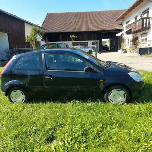 Ford Fiesta 1.3 Bild 2
