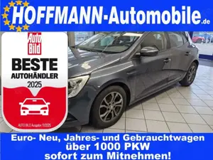 Renault Megane AHK,Allwetterreifen,PDC,