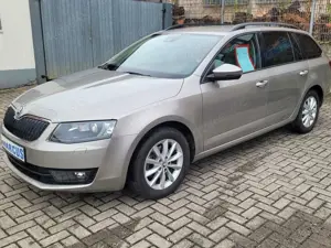 Skoda Octavia Style " Erdgas"