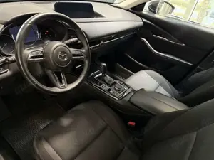 Mazda CX-30 2.0 150PS Homura Voll-LED ACAA RFK Bild 4