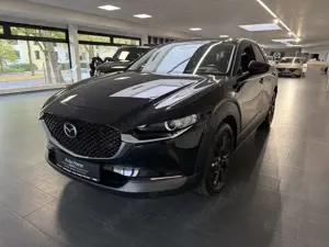 Mazda CX-30 2.0 150PS Homura Voll-LED ACAA RFK Bild 3
