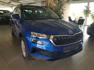 Skoda Karoq TSI DSG SELECTION Navi ACC Kamera PDC Sitzheiz. LE Bild 3